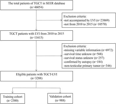 Clinical features and prognostic factors in patients diagnosed with lymphovascular invasion of testicular germ-cell tumors: Analysis based on the SEER database